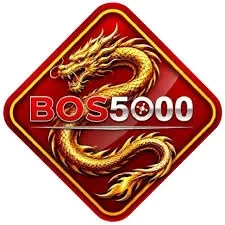 Bos5000 hartaspin